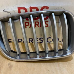 Bmw X3 F25 Kidney Grill Right 10-17